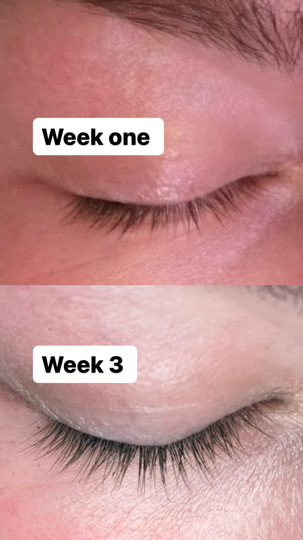 Natural Lash Serum