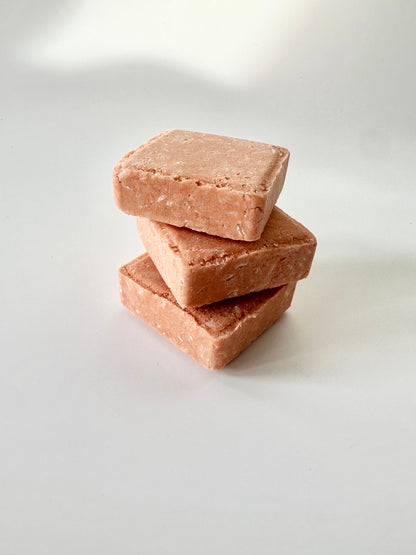 Plant based shampoo bars