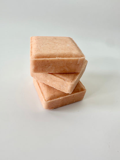 Plant based shampoo bars